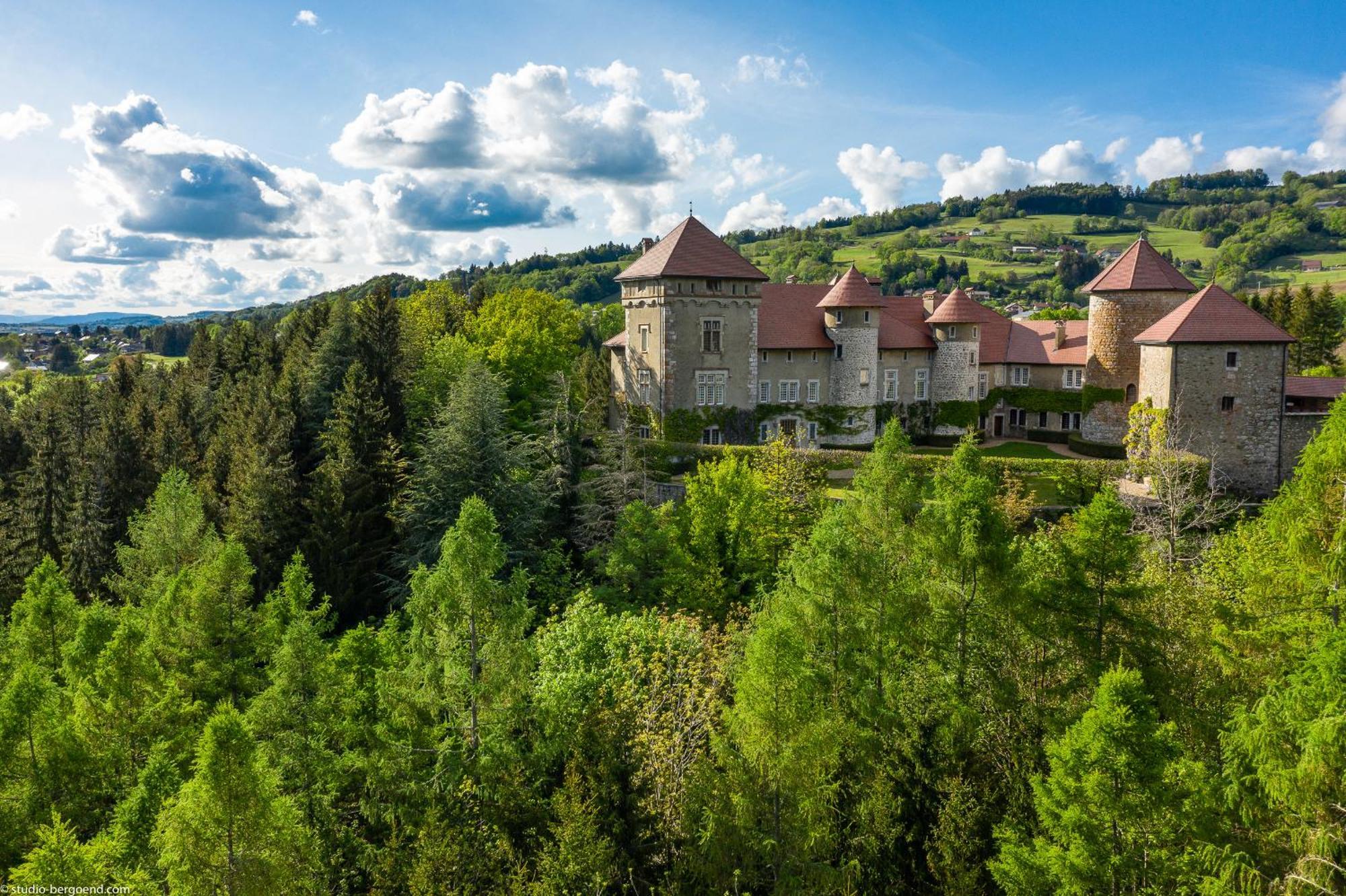 Chateau De Thorens エクステリア 写真