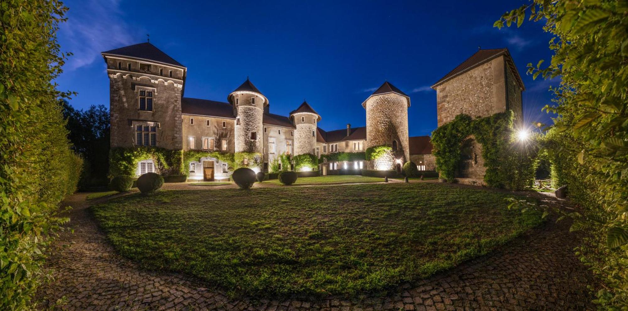 Chateau De Thorens エクステリア 写真